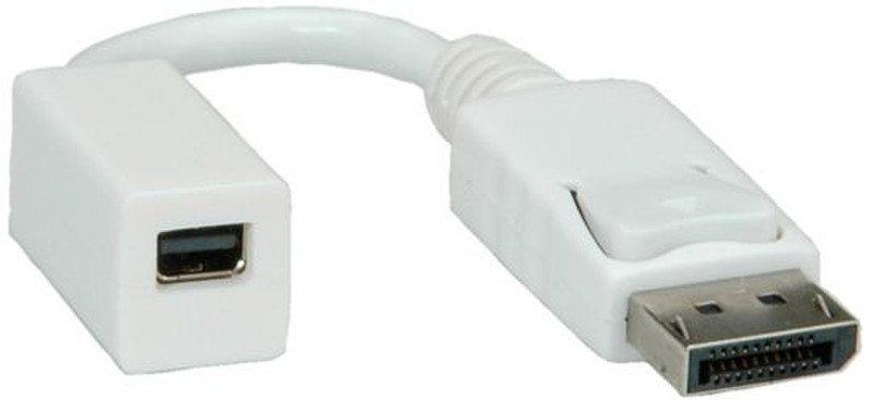 ROLINE 12033132 DisplayPort-Kabel