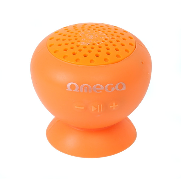 Omega OG46O Tragbarer Lautsprecher