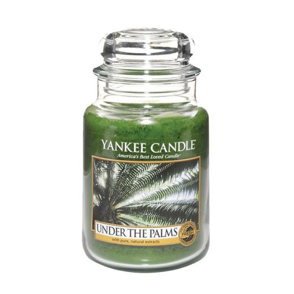 Yankee Candle 1284495E Круглый Зеленый 1шт восковая свеча