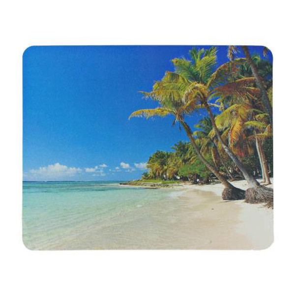 4World 06020 mouse pad