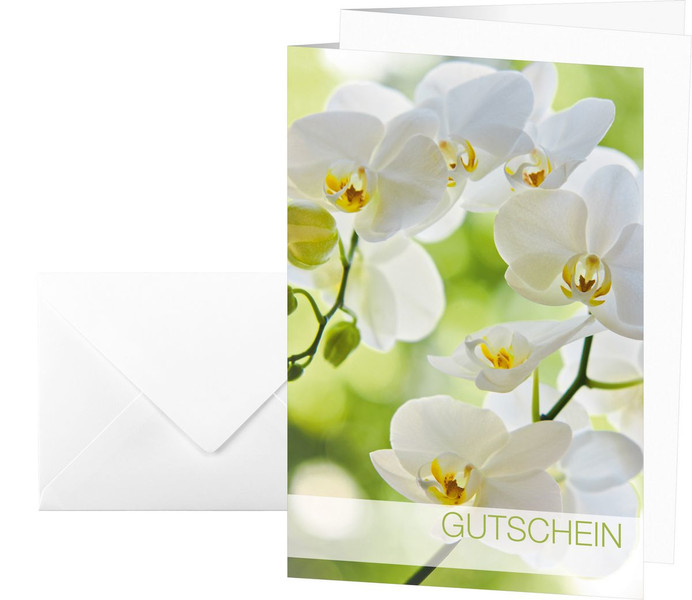 Sigel DS005 greeting card