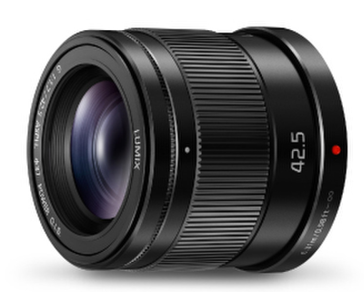 Panasonic H-HS043E Беззеркальный цифровой фотоаппарат со сменными объективами Telephoto lens Черный