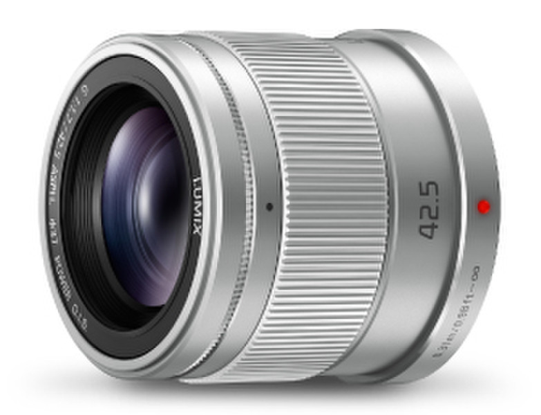 Panasonic H-HS043E Беззеркальный цифровой фотоаппарат со сменными объективами Telephoto lens Cеребряный