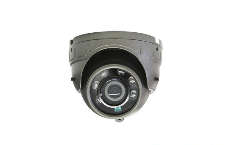 Meriva Security MC301 Indoor Dome Black surveillance camera