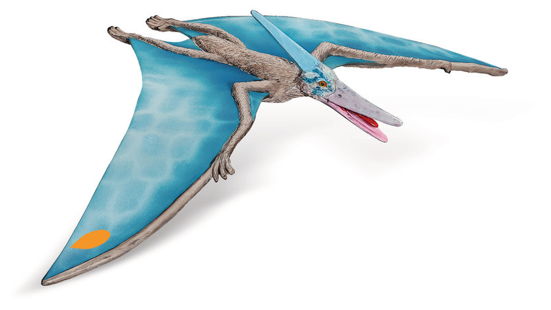 Ravensburger Pteranodon 1шт Синий, Серый Мальчик / Девочка