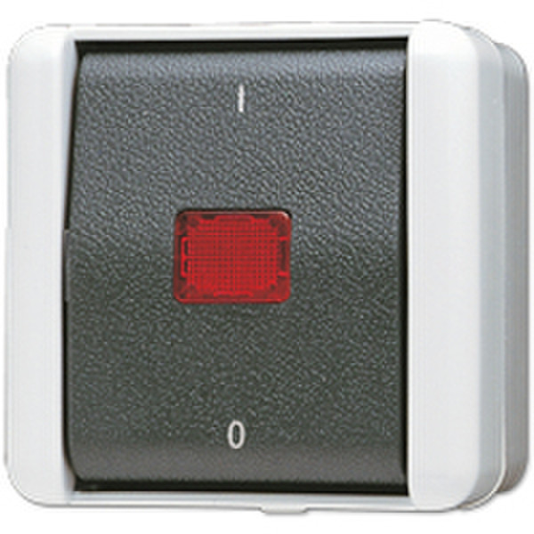 JUNG 802 KOW 2P Black,White electrical switch