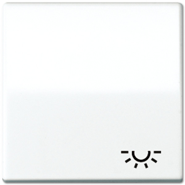 JUNG AS 591 L WW White electrical switch