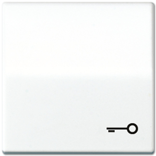 JUNG AS 591 T WW White electrical switch