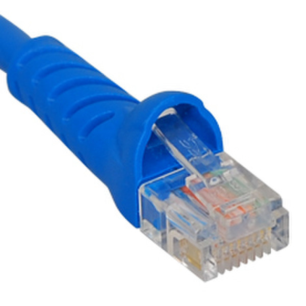 ICC ICPCSK01BL сетевой кабель