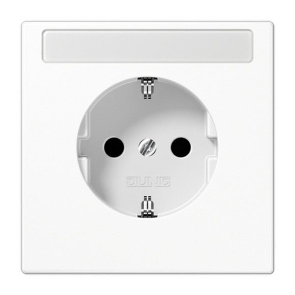 JUNG LS 1520 KINA WW Type F (Schuko) White outlet box