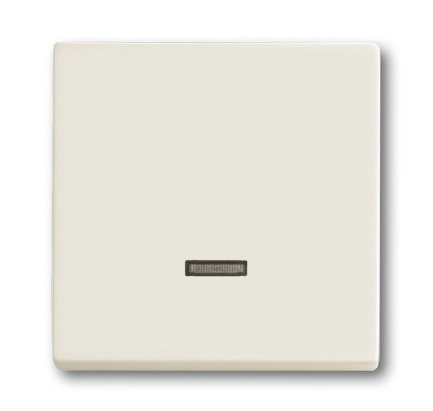 Busch-Jaeger 6599-0-2999 White light switch