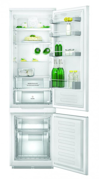 Scholtes RCB 33 AAA F C OT Built-in 207L 54L A++ White fridge-freezer