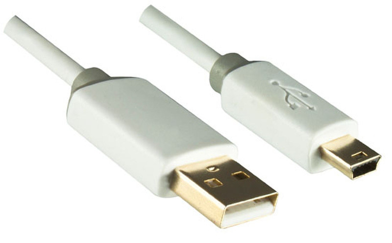 DINIC USB A/Mini-USB B 2m