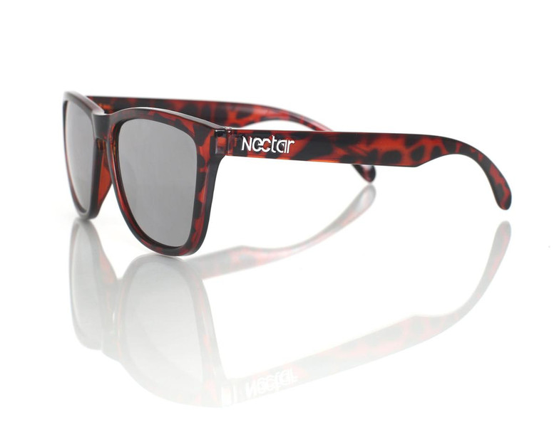 Nectar Cypress Unisex Square Fashion sunglasses