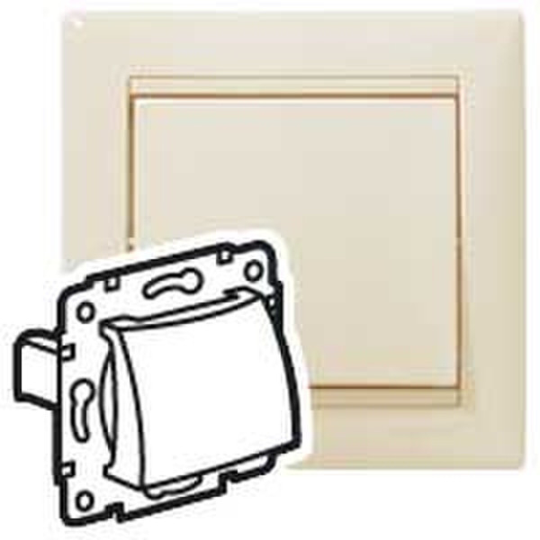 Legrand Valena Ivory socket-outlet