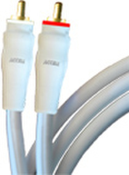 Accell Audio Cable - 6ft. 1.8m 2 x RCA Audio-Kabel