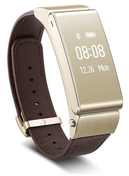 Huawei TalkBand B2 Wristband activity tracker 0.73Zoll PMOLED Kabellos IP57 Gold