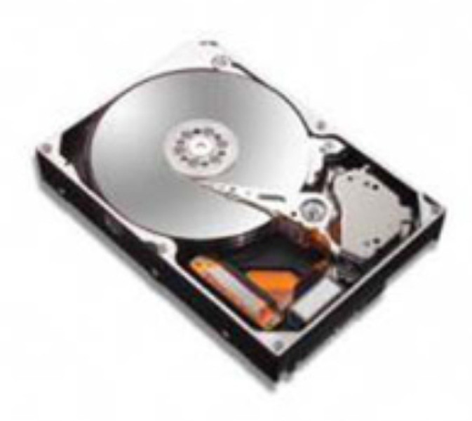 Seagate DiamondMax 300GB HDD 300ГБ Ultra-ATA/133 внутренний жесткий диск