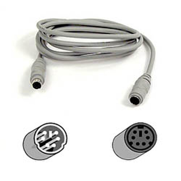 Belkin Cable PS2 6pin mini DIN male>female 1.8m 1.8m Grau PS/2-Kabel