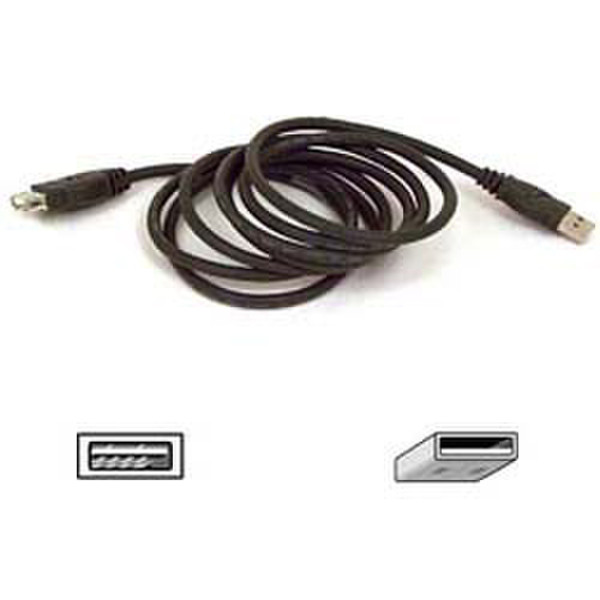 Belkin Cable ext USB A>A 1.8m Ret