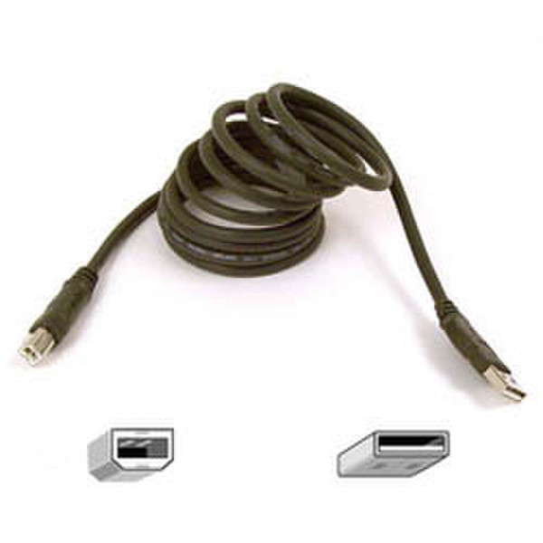 Belkin Cable ext USB A>B 1.8m Ret