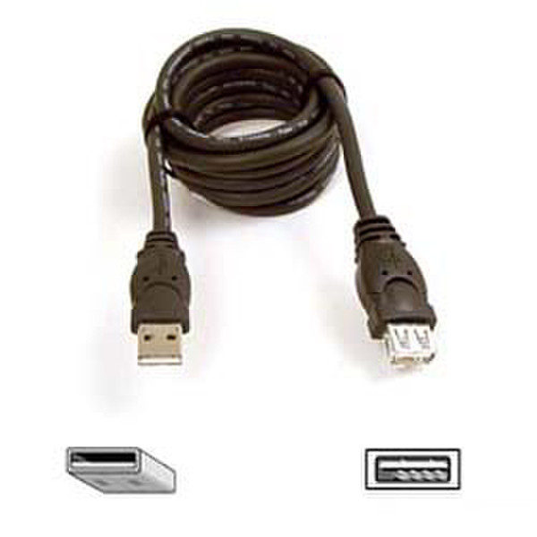 Belkin Cable ext USB A>A 3m Ret