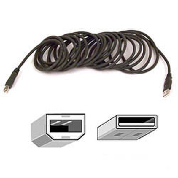 Belkin Cable ext USB A>B 3m Ret