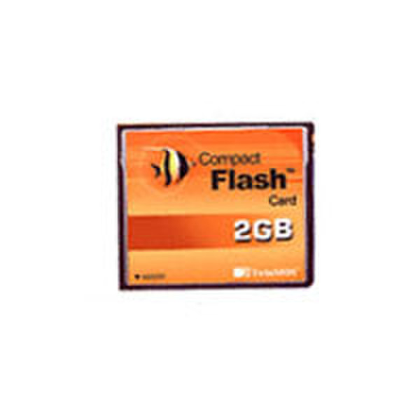 Twinmos COMPACTFLASH CARD 2 GB 2ГБ CompactFlash карта памяти