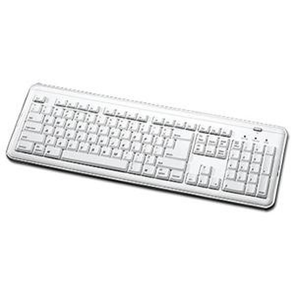 BUSlink i-Rocks USB Keyboard w/ Silver Frame (Mac + PC) USB QWERTY Tastatur