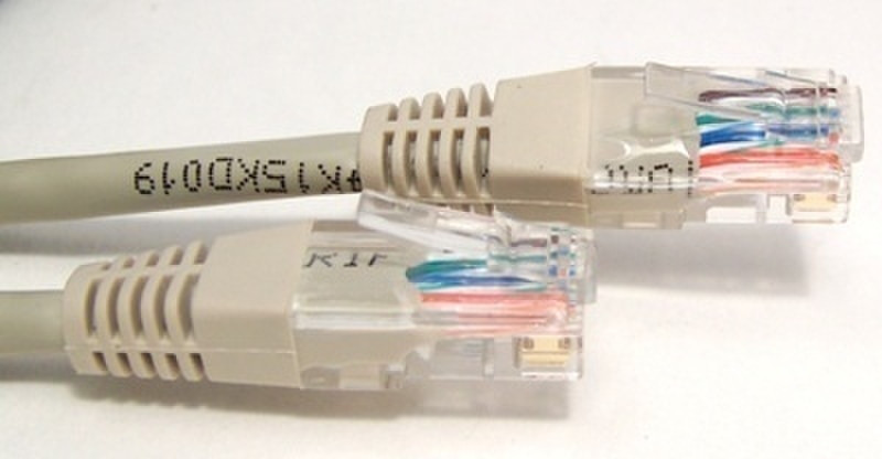 Micro Connectors Cat. 5E UTP Patch Cable - 1ft 0.3m Beige networking cable