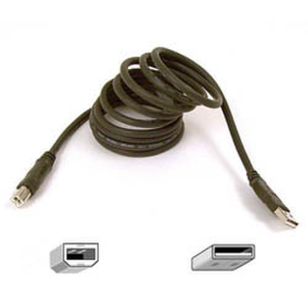 Belkin Cable USB A>B 1.8m ext Ret Bag+Label