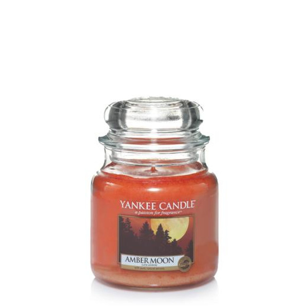 Yankee Candle 1315046E Круглый Янтарь 1шт восковая свеча