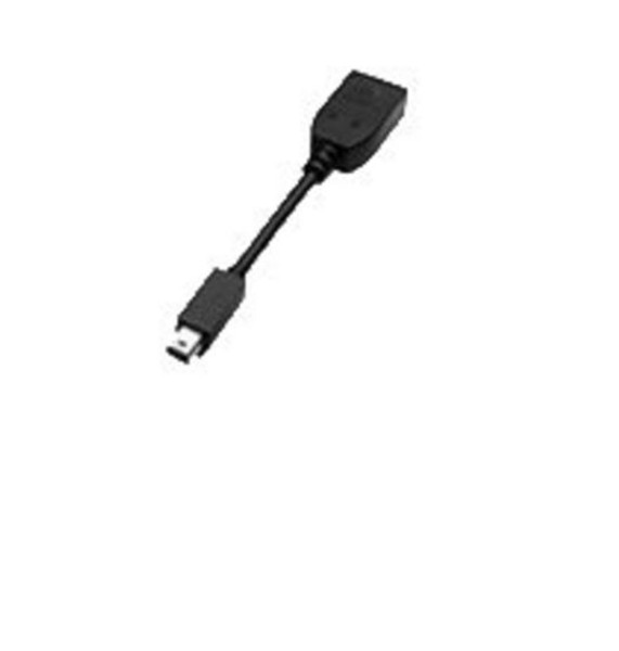 PNY MINI-DP TO SL-DVI-D mini DisplayPort DVI Schwarz