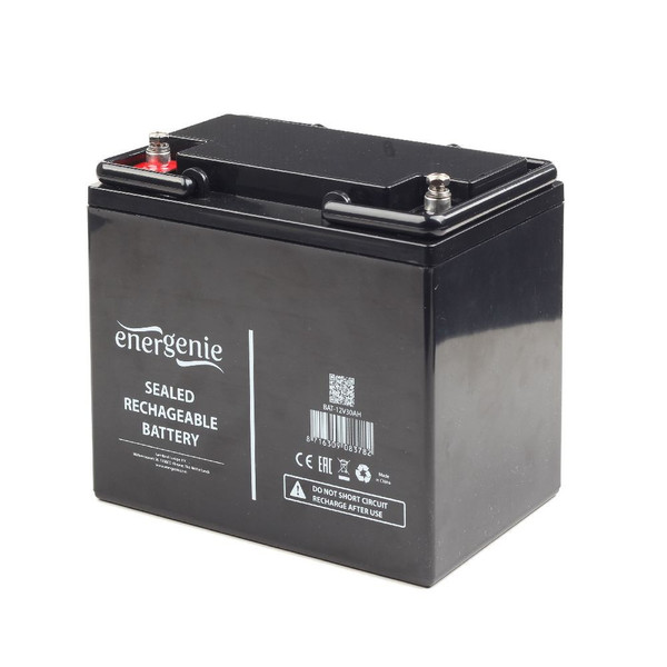 Gembird BAT-12V30AH Plombierte Bleisäure (VRLA) 30Ah 12V USV-Batterie