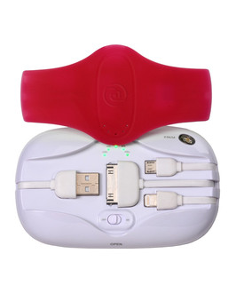 PC Treasures 09557 Akkuladegerät