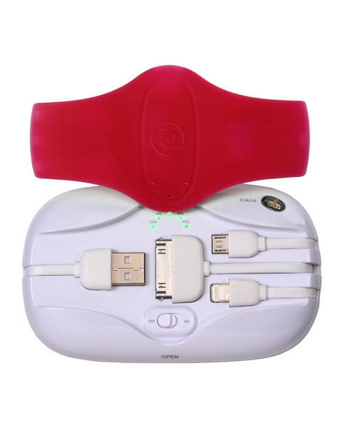 PC Treasures 09557 Akkuladegerät