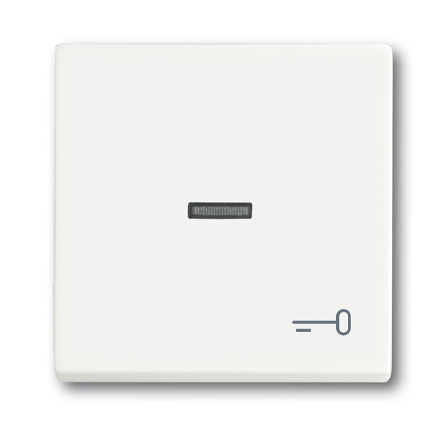 Busch-Jaeger 1751-0-3032 Plastic White light switch