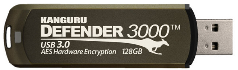 Kanguru Defender 3000, 16GB 16ГБ USB 3.0 (3.1 Gen 1) Тип -A Коричневый USB флеш накопитель