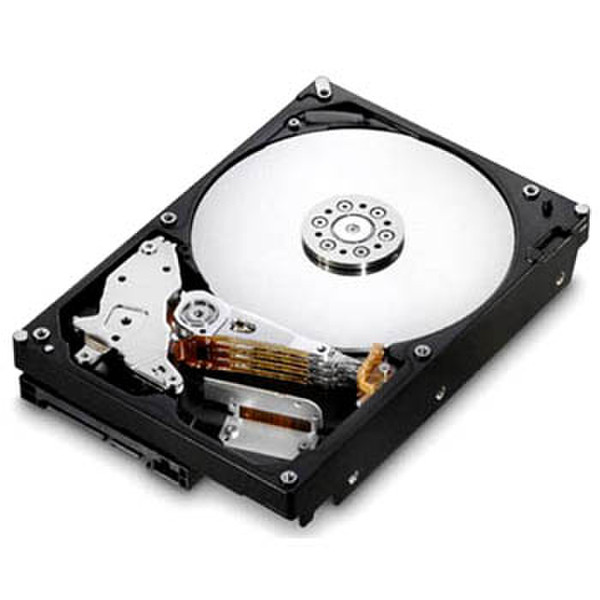 HGST Deskstar E7K1000 750GB 750GB Serial ATA II Interne Festplatte