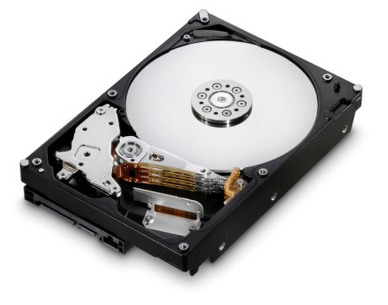 HGST Deskstar E7K1000 1TB 1000ГБ Serial ATA II внутренний жесткий диск