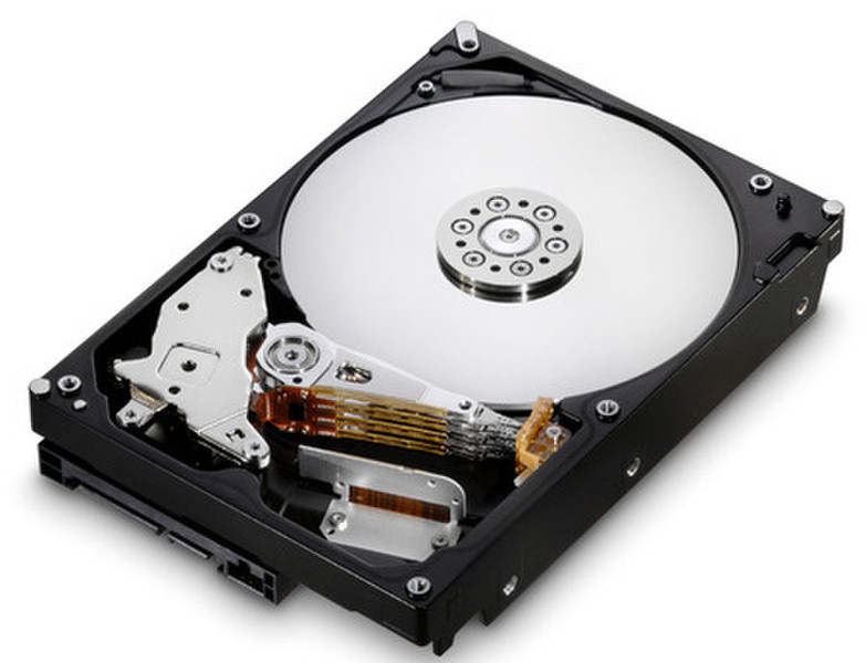 HGST Deskstar E7K1000 500GB 500GB Serial ATA II Interne Festplatte