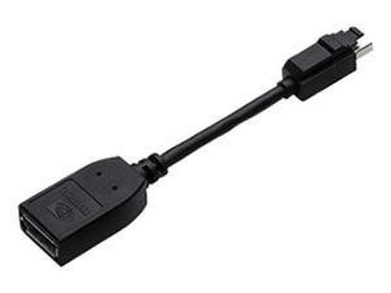 PNY Mini DisplayPort/DisplayPort Mini DisplayPort DisplayPort Schwarz