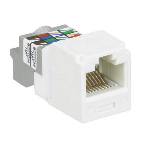 Panduit CJ688TPWH RJ-45 White socket-outlet