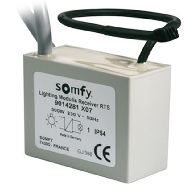 Somfy 9014281 Electronic lighting transformer 300W lighting transformer