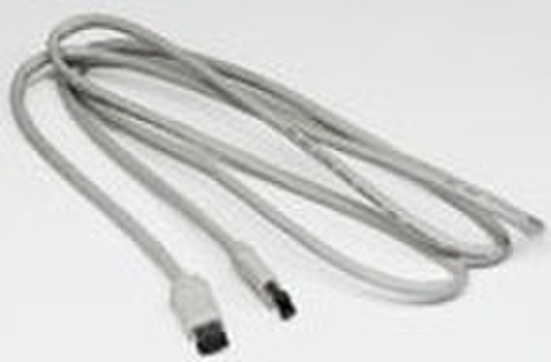 Adaptec External Firewire 1395 6p>6p 2m 400Mbit-s 2m Elfenbein Firewire-Kabel