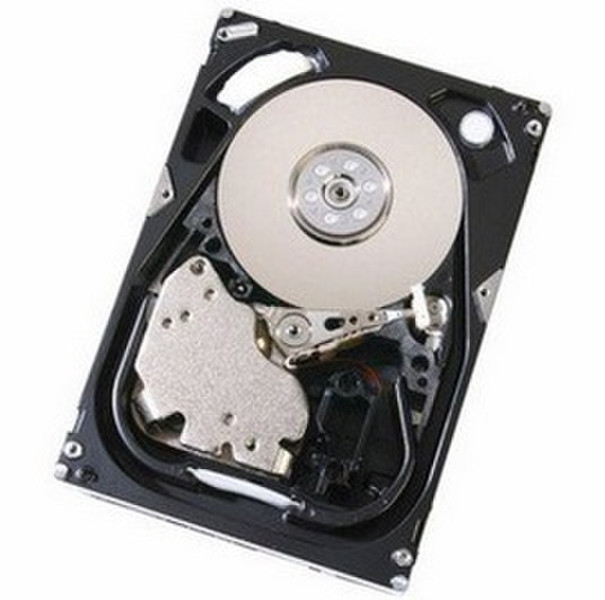 HGST Ultrastar 15K300 300GB FC 4Gb/s 300GB Fibre Channel internal hard drive