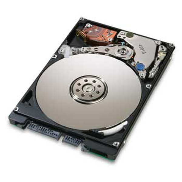 HGST Travelstar 7K320 320GB SATA Interne Festplatte