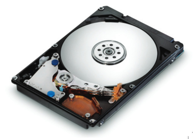 HGST CinemaStar 7K1000.B 160GB 160GB Serial ATA II internal hard drive