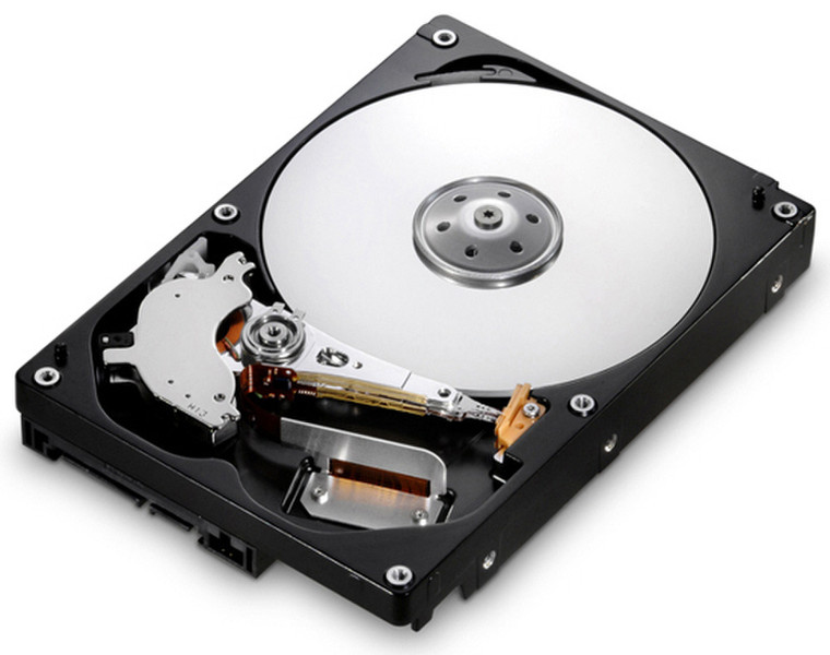 HGST CinemaStar 7K1000.B 250GB 250GB Interne Festplatte