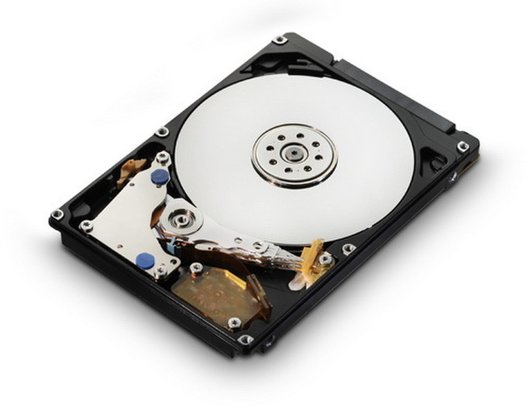 HGST CinemaStar 5K500 500GB 500GB Interne Festplatte